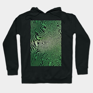 Mount Rainer Painted Green Topographic Hoodie